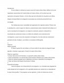 Ensayo Epica Clasica Latina