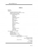 Guía de Prácticas Apéndice A- Prácticas