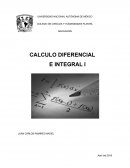 Procesos Infinitos y la Noción de Límite