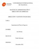 Importancia del Plan de Negocios