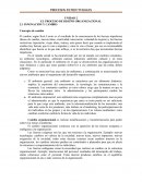 Proceso de diseño organizacional