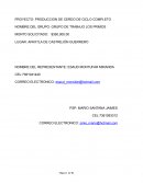 Proyecto: produccion de cerdo de ciclo completo