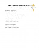 Desarrollo producto llaveros acrilico