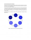 Ciclo de Vida del Desarrollo de Software