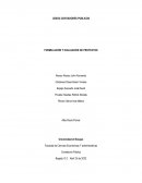 Lebog contadores publicos. Formulación y evaluación de proyectos