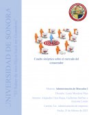 Cuadro sinóptico sobre el mercado del consumidor