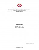 Resumen del ambiente