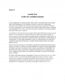 Cruelty free (Libre de crueldad animal)