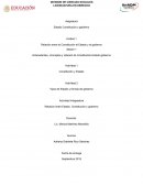 Relación entre la Constitución el Estado y el gobierno