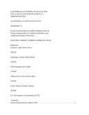 Auditorias a cuentas de activo