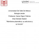 Membrana plasmática, su estructura y su función