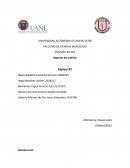 El calentamiento global . Gases efecto invernadero
