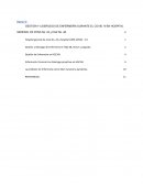 Gestión y liderazgo de enfermería durante el COVID 19 en Hospital General de zona nO. 24 y HGZ No. 48
