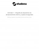 Infografía de dispositivos de almacenamiento interno y copias de seguridad