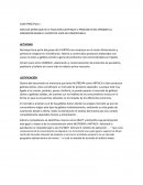 Caso práctico .Punto de vista de competencia