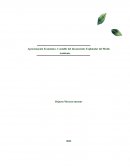Aproximación económico-contable del inconsciente explotador del medio ambiente