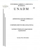 Modelos del comportamiento organizacional