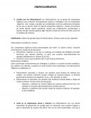 Hidrocarburos aromáticos o arenos