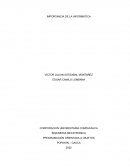 Importancia de la informatica