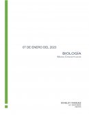 Mapas conceptuales de tipos de tejidos