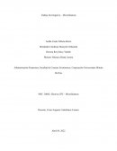 Trabajo Investigativo – Microfinanzas