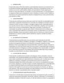 Resumen mundo fragmentado