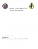Sistema sexo-género y Feminismo y Masculinidades