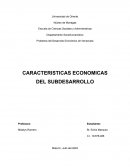 Caracteristicas economicas del subdesarrollo