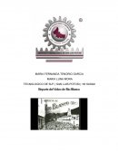 Reporte del Video de Rio Blanco