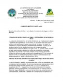 Cambio climatico y plagas agricolas