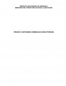 Frases nominales de ingles