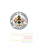 Analisis de una practica de desarrollo comunitario