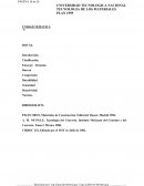 Unidad tematica rocas