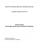 Hemorragia durante primer trimestre de embarazo