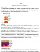 La piel