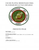 Uso de plantas medicinales para el cuidado de las vias urinaria