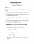 Taller regulación de transcripción en procariotas