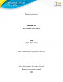 Anexo 1 Matriz de riesgo psicosocial Condiciones de la organizacion