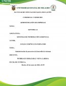 Administración de proyectos de desarrollo de sistemas