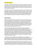 Informe Alemania del Siglo XIX