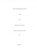 Paralelo entre coordinación fina y gruesa