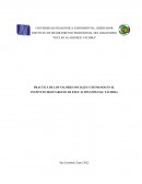 Practica de los valores sociales y humanos en el instituto bolivariano de educación especial Táchira