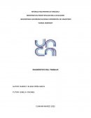 Diagnostico del trabajo