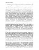 Teoria del caso como fiscal