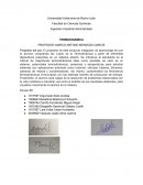 PIA de termodinamica