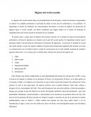 Higiene del recién nacido