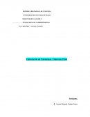 Elaboración de Estrategias. Empresas Polar