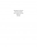 Taller de Integración Informática