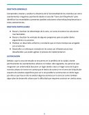 Cerro del Chiquihuite