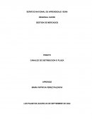 Canales de distribucion o plaza